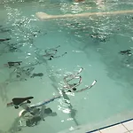 Valdys Thalasso & - Les Pins